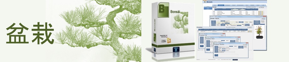 Bonsai, Programa de Bonsai Microsoft ® Access ®